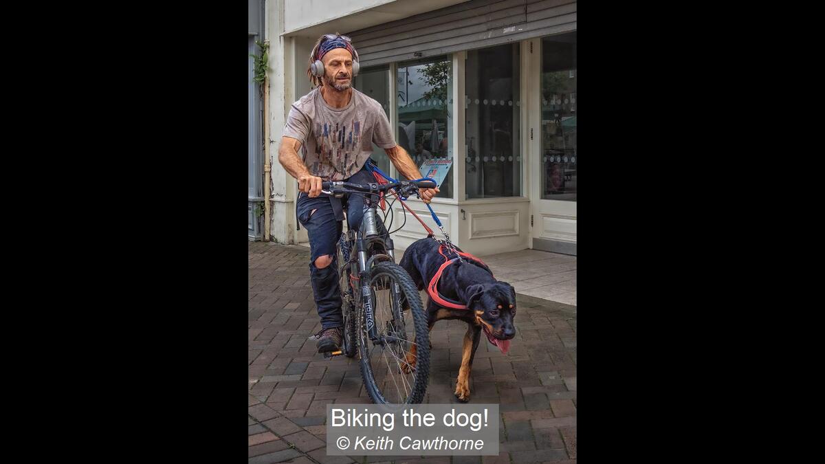 Biking the dog!